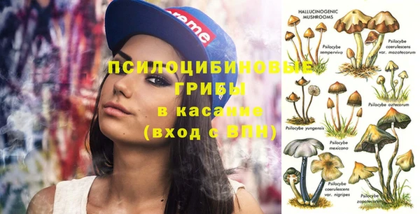 синтетический гашиш Зеленодольск
